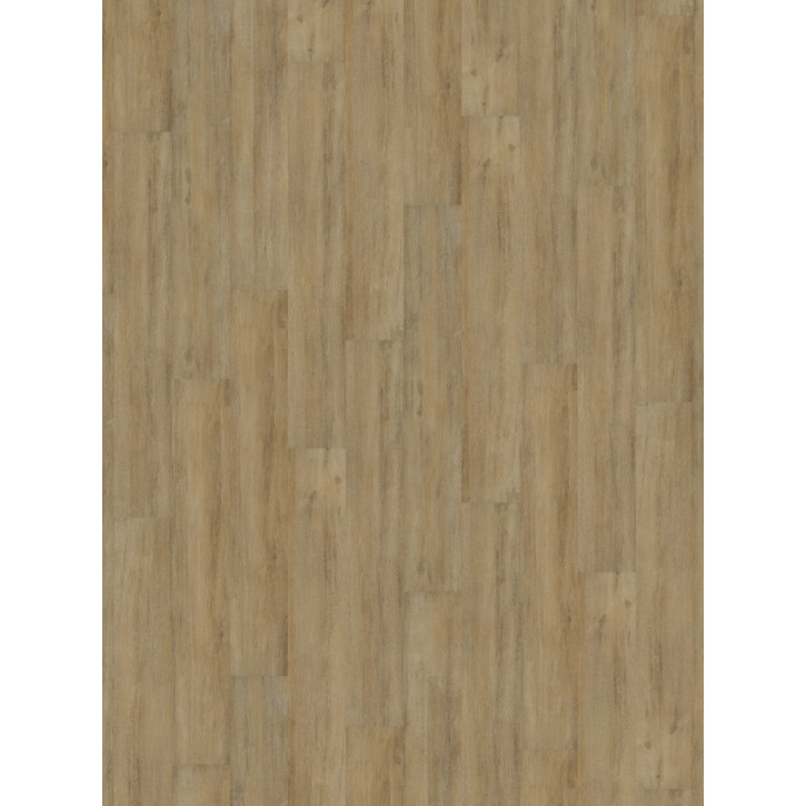 Panele winylowe DB00009 Wineo Vinil 600 Wood