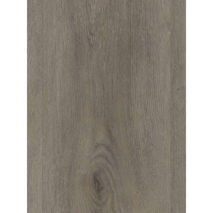 Panele winylowe DLC00029 Wineo Vinil 600 Wood XL
