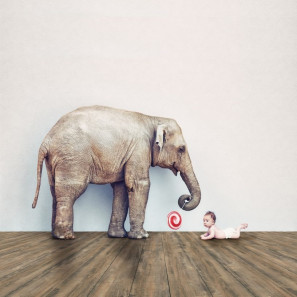 Panele winylowe 2020-З ADO Floor Exclusive Wood Series