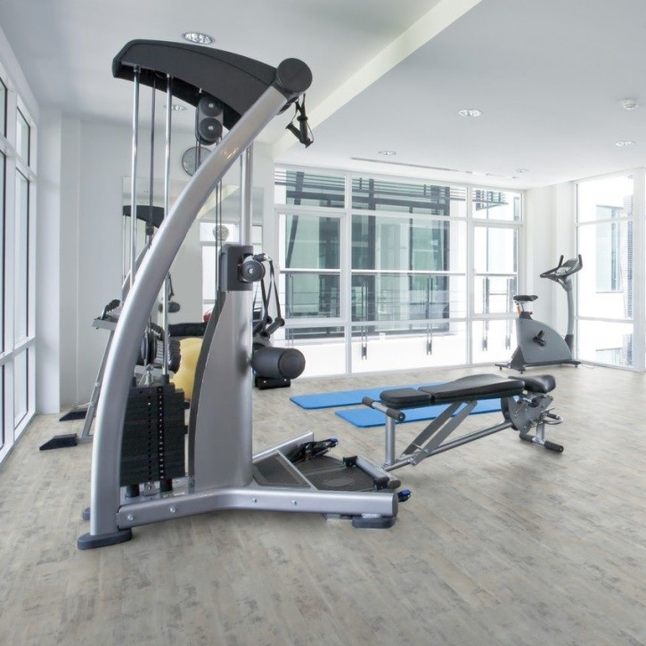 Panele winylowe DLC00076 Wineo Vinil 800 Wood