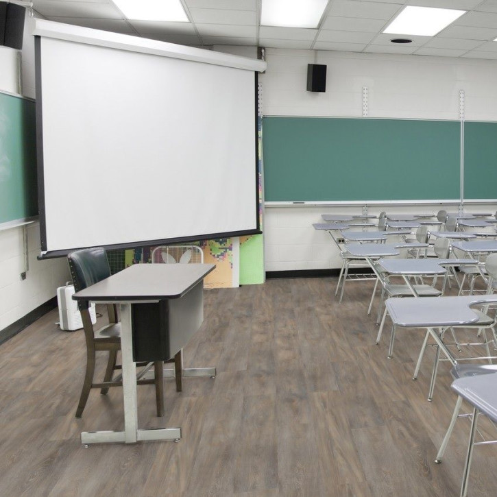 Panele winylowe DLC00078 Wineo Vinil 800 Wood