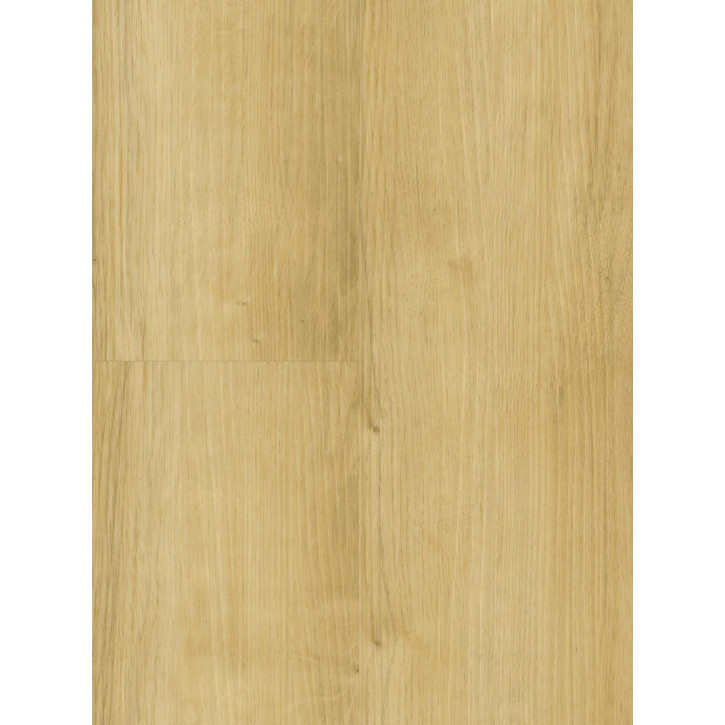 Panele winylowe DLC00080 Wineo Vinil 800 Wood