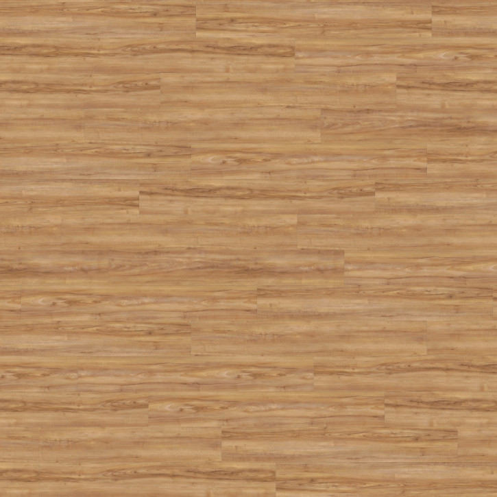 Panele winylowe DB00081 Wineo Vinil 800 Wood