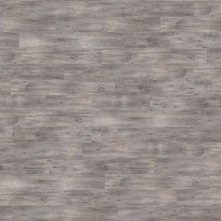 Panele winylowe DB00082 Wineo Vinil 800 Wood