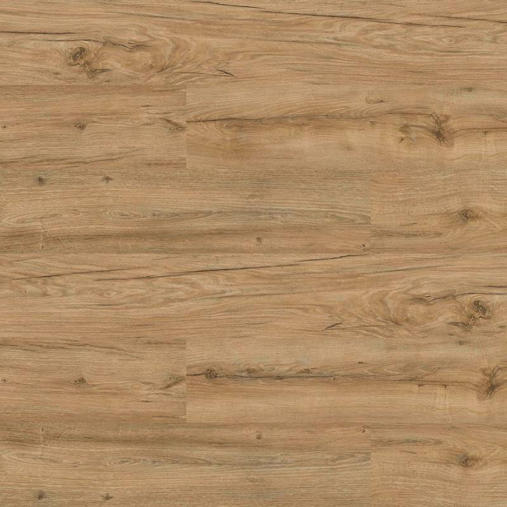 Panele laminowane 42B VarioClic Exstensive