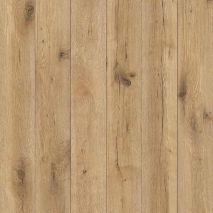 Panele laminowane 54852 Classen Expedition 4V WR