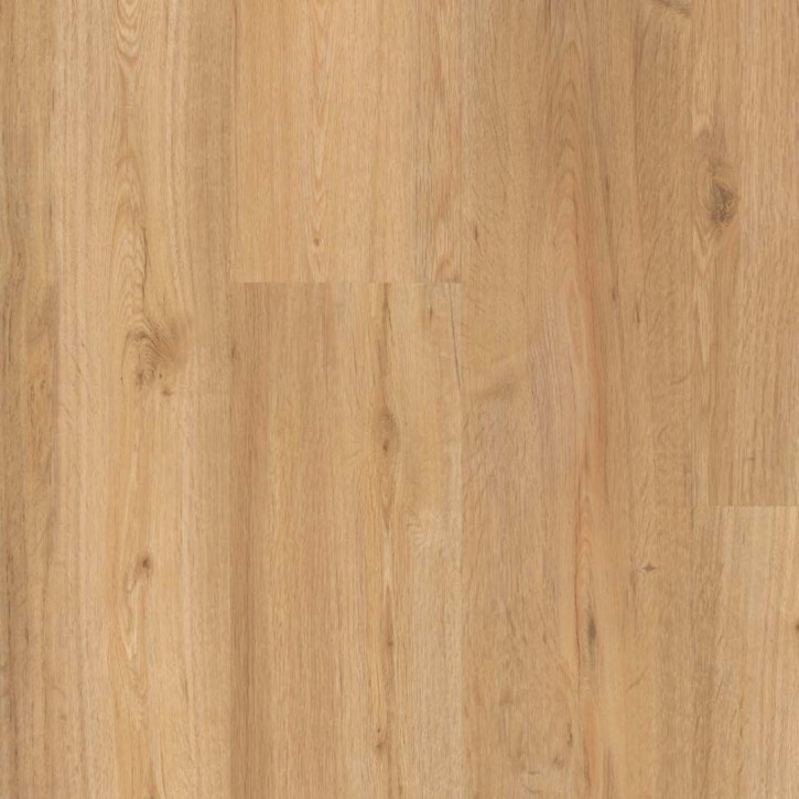 Panele winylowe 1730779 Parador Basic 2.0