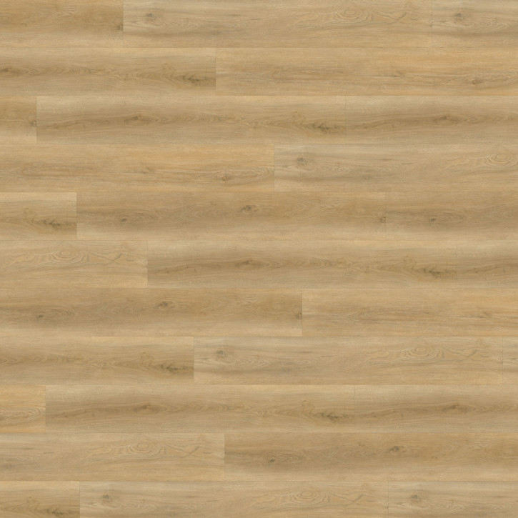 Panele winylowe DB193W6 Wineo Vinil 600 Db Wood XL 2020