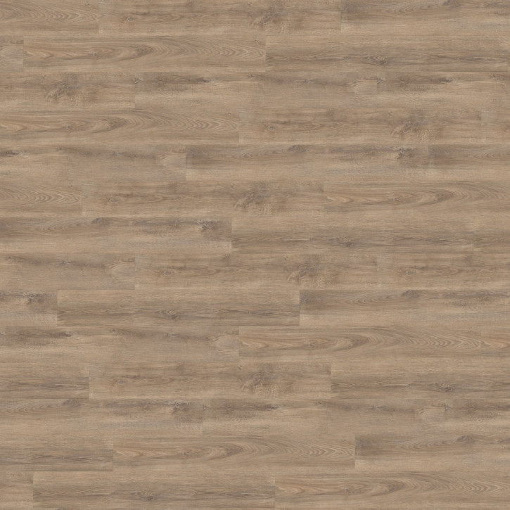 Panele winylowe RLC186W6 Wineo Vinil 600 Wood