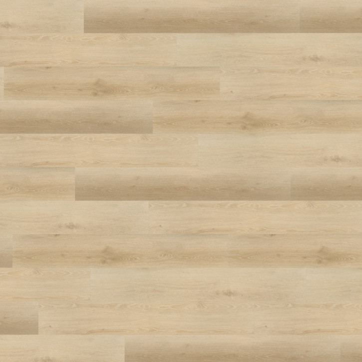 Panele winylowe RLC191W6 Wineo Vinil 600 Wood XL