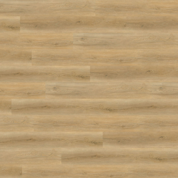 Panele winylowe RLC193W6 Wineo Vinil 600 Wood XL