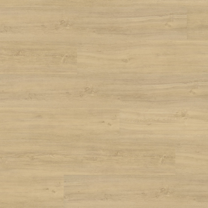 Panele winylowe MLD00125 Wineo Vinil 400 Wood XL