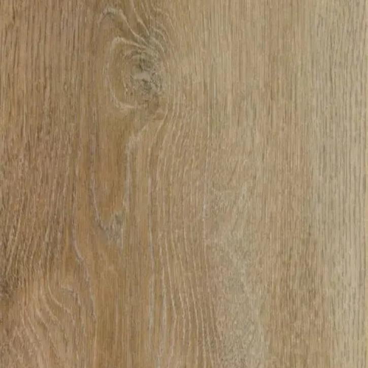 Panele laminowane 529 Alsapro Tendance Pro