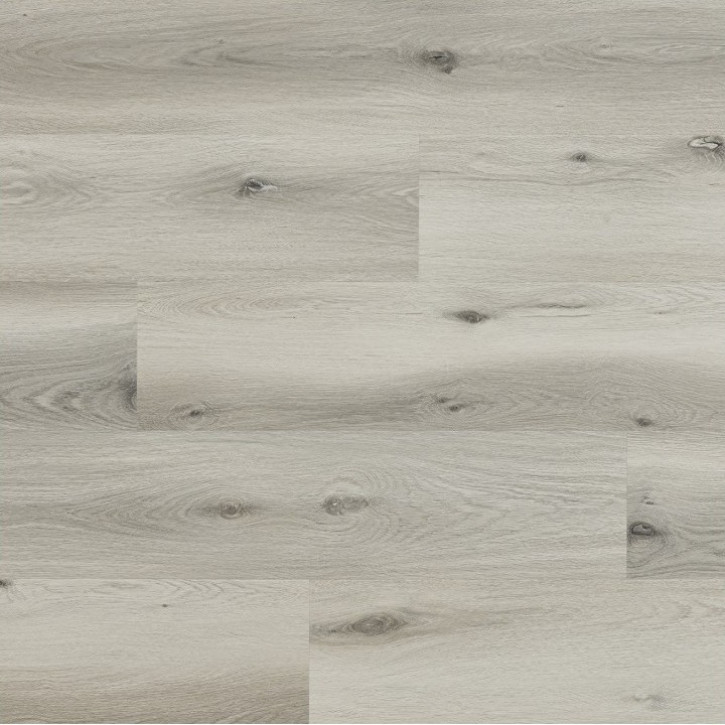 Panele winylowe CWS 202 Arbiton Vinil Woodric Eir