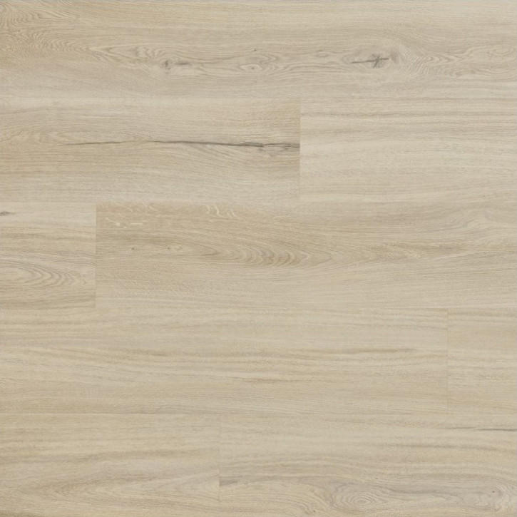 Panele winylowe CWS 203 Arbiton Vinil Woodric Eir