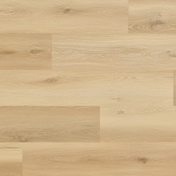 Panele winylowe CWS 205 Arbiton Vinil Woodric Eir