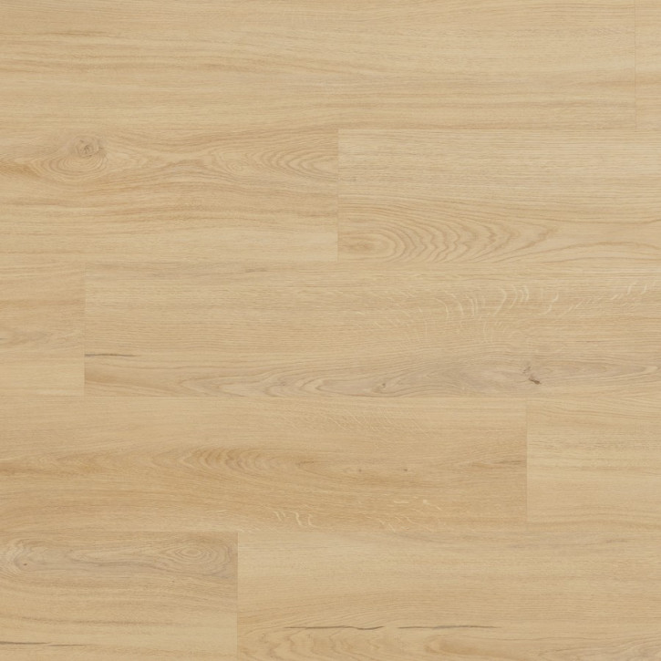 Panele winylowe CWS 206 Arbiton Vinil Woodric Eir