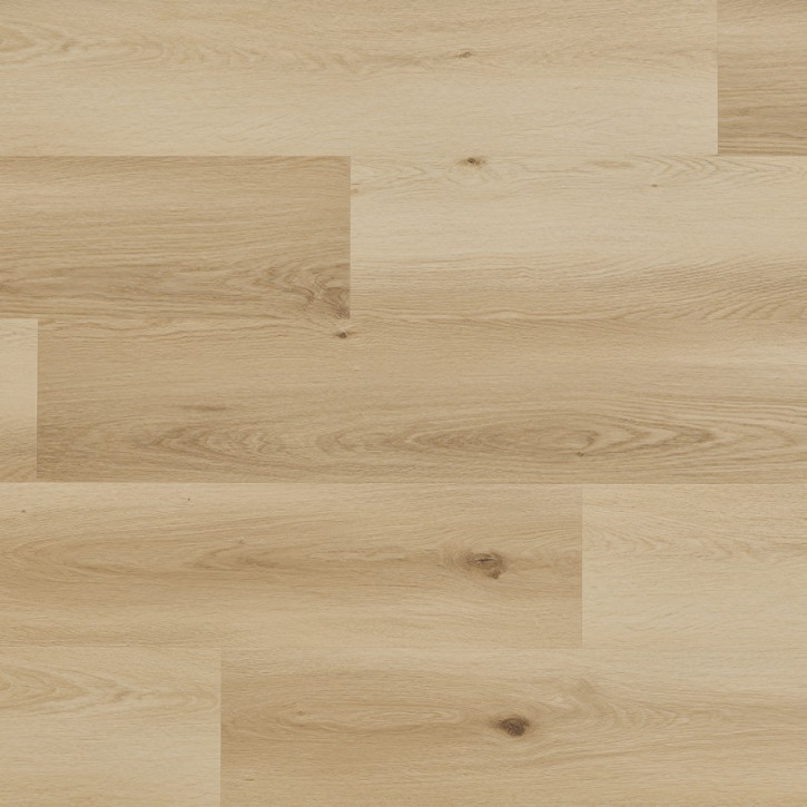 Panele winylowe CWS 207 Arbiton Vinil Woodric Eir