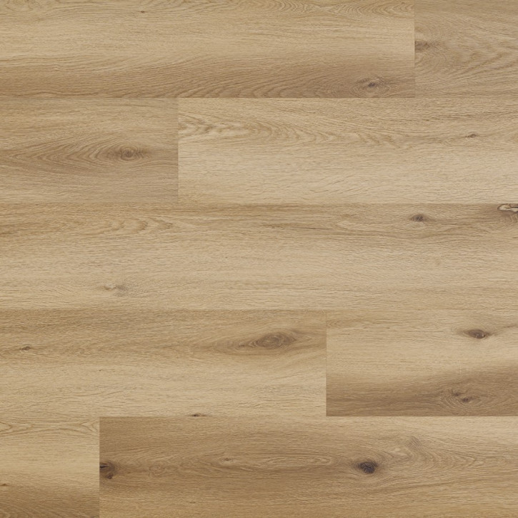 Panele winylowe CWS 208 Arbiton Vinil Woodric Eir