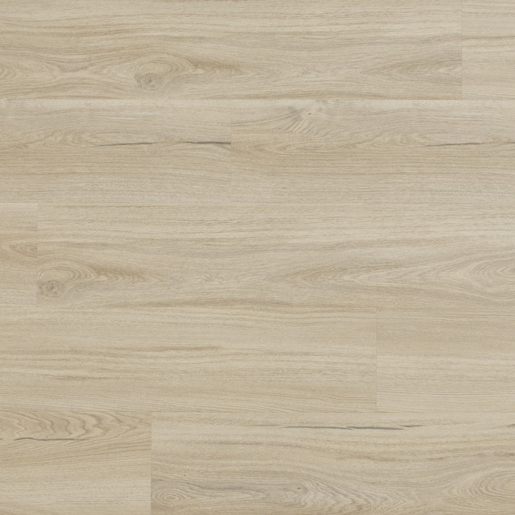 Panele winylowe CWS 209 Arbiton Vinil Woodric Eir