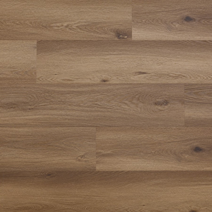 Panele winylowe CWS 211 Arbiton Vinil Woodric Eir