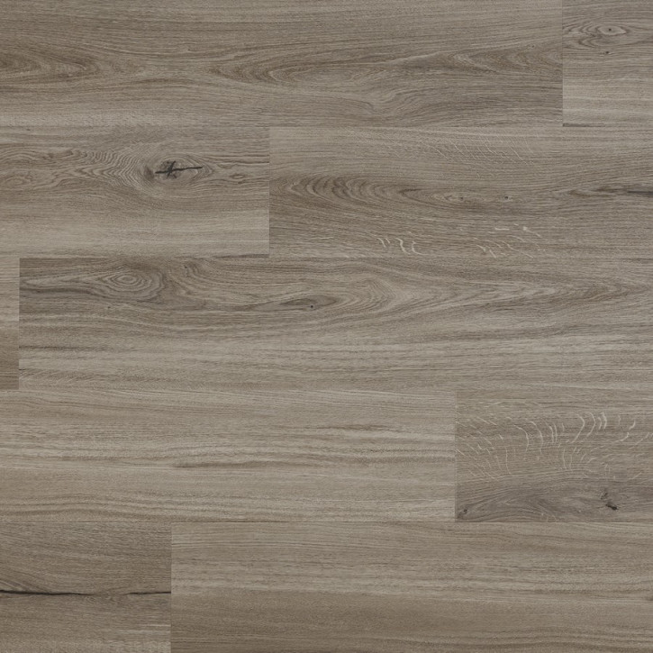 Panele winylowe CWS 212 Arbiton Vinil Woodric Eir