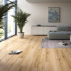 Panele laminowane 53679 Classen