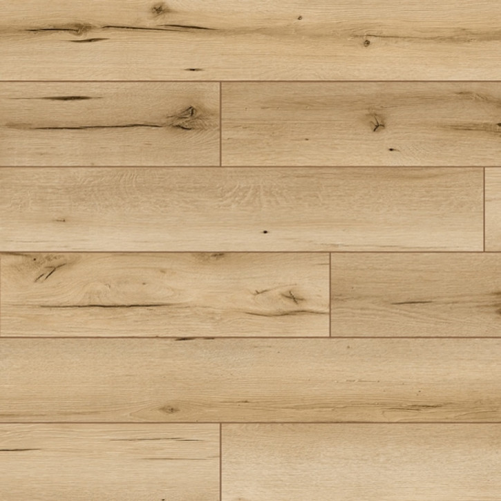 Panele laminowane 53679 Classen