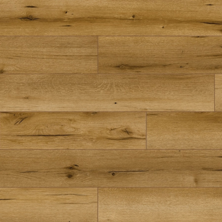 Panele laminowane 53685 Classen