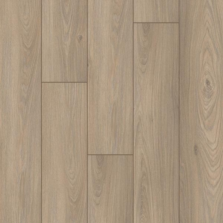 Panele laminowane 52538 Classen