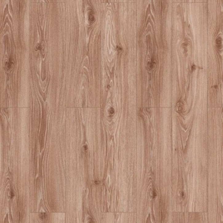 Panele laminowane 47083 Classen Discovery 4V