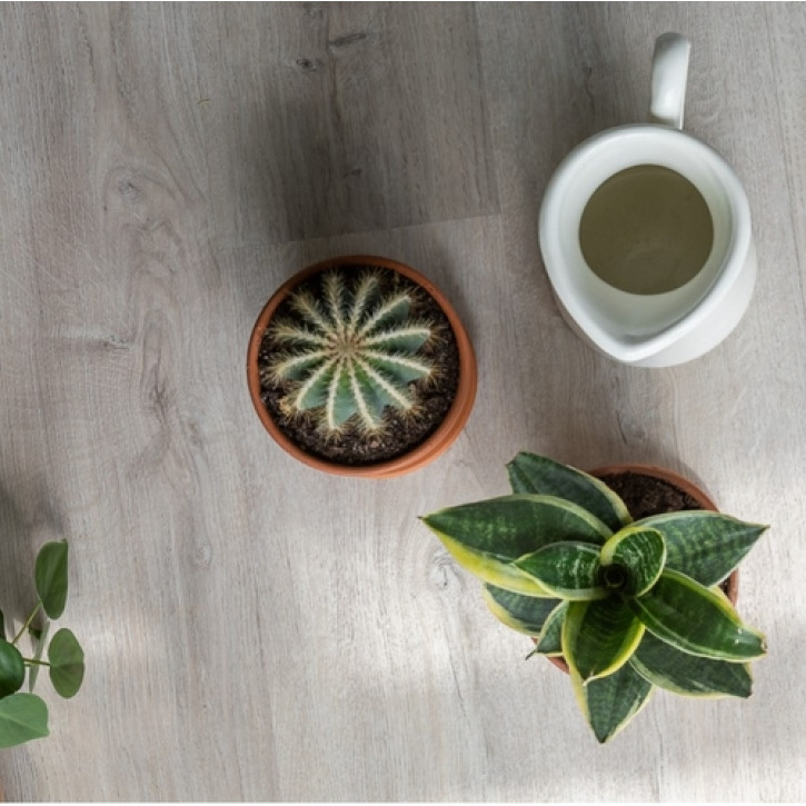 Panele winylowe 20468 Vinilam Glue