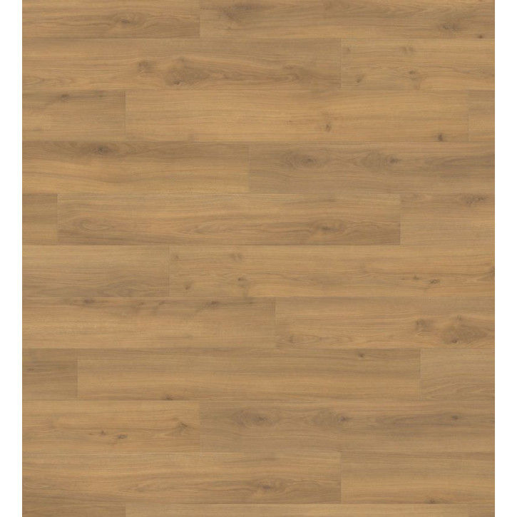 Panele laminowane 538692 Haro Tritty 100