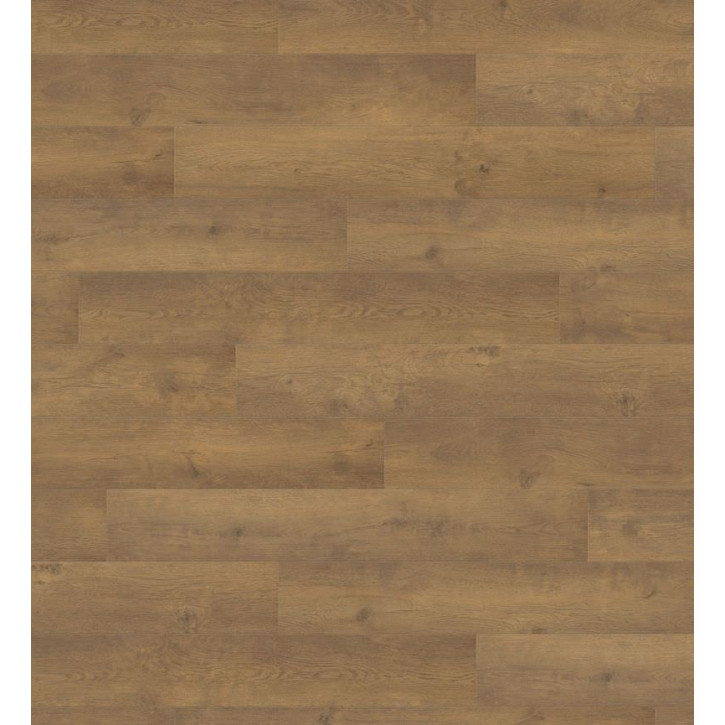 Panele laminowane 538693 Haro Tritty 100