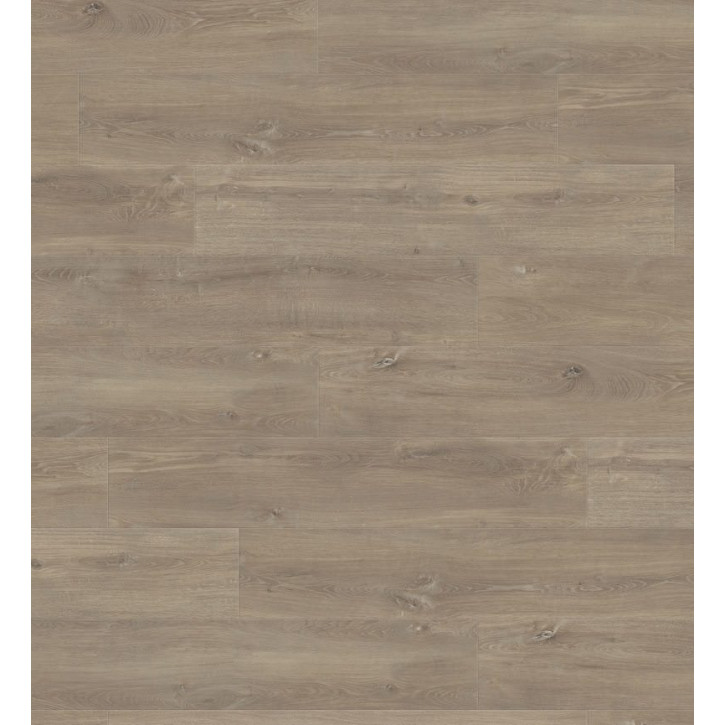 Panele laminowane 538752 Haro Tritty 100 Campus 4V