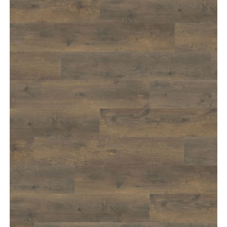 Panele laminowane 538749 Haro Tritty 100 Campus 4V