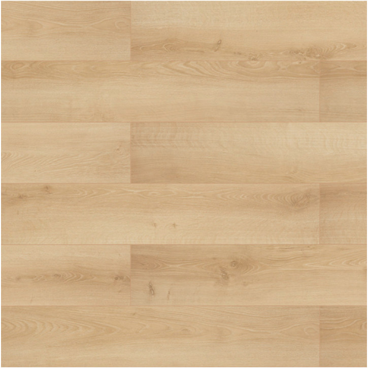 Panele laminowane 52667 Classen Naturals