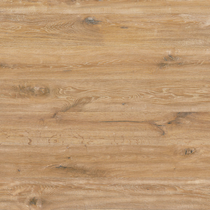 Panele laminowane 43569 Classen Explore