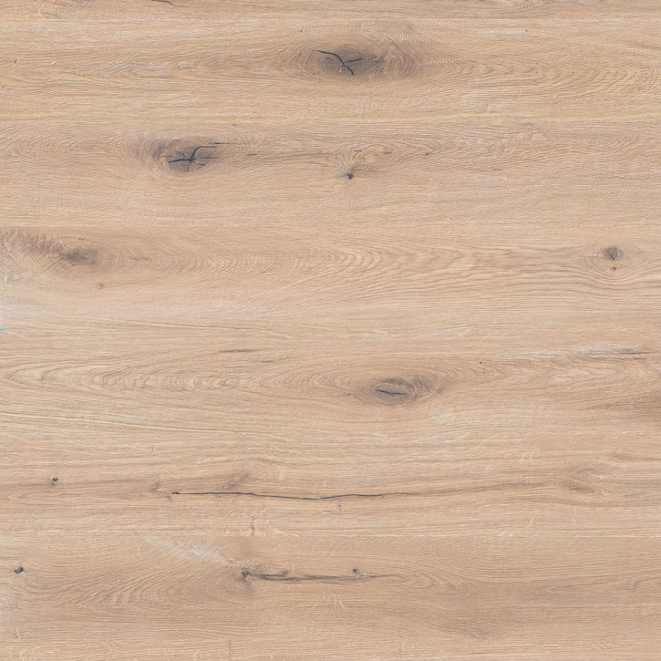 Panele laminowane 41426 Classen Explore