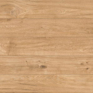 Panele laminowane 41427 Classen Explore