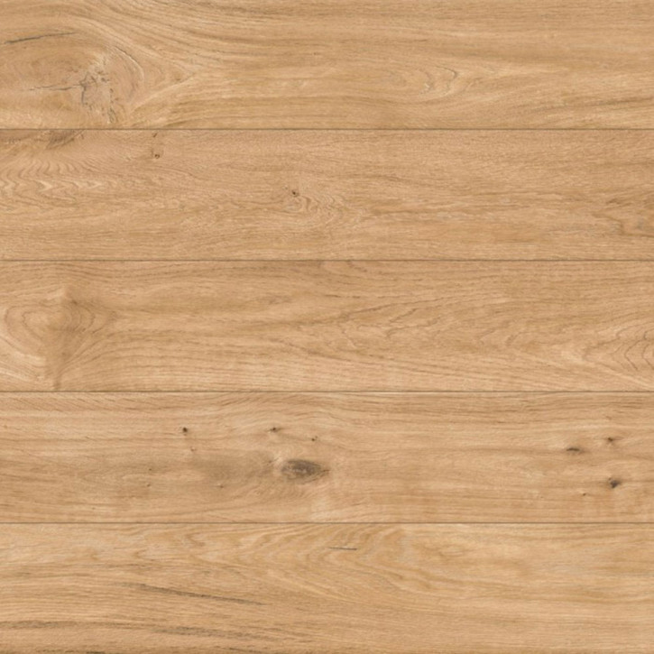 Panele laminowane 41427 Classen Explore