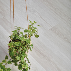 Panele winylowe 22116 IVC Echo Click