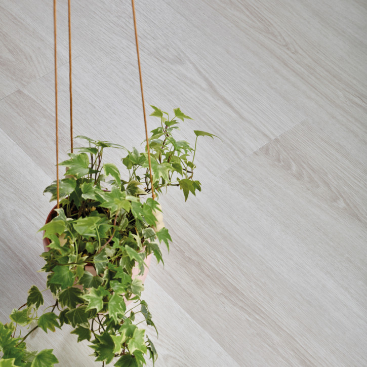 Panele winylowe 22116 IVC Echo Click