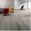 Panele laminowane 437 Alsafloor Harmonie V4