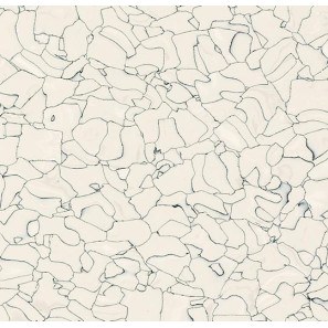 Panele winylowe EC 250202 Forbo 