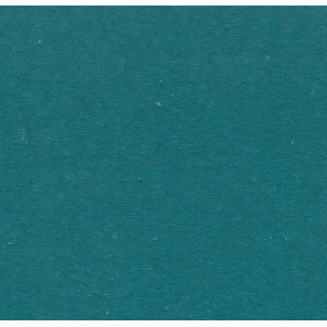 Panele winylowe C68040 Forbo Allura Colour