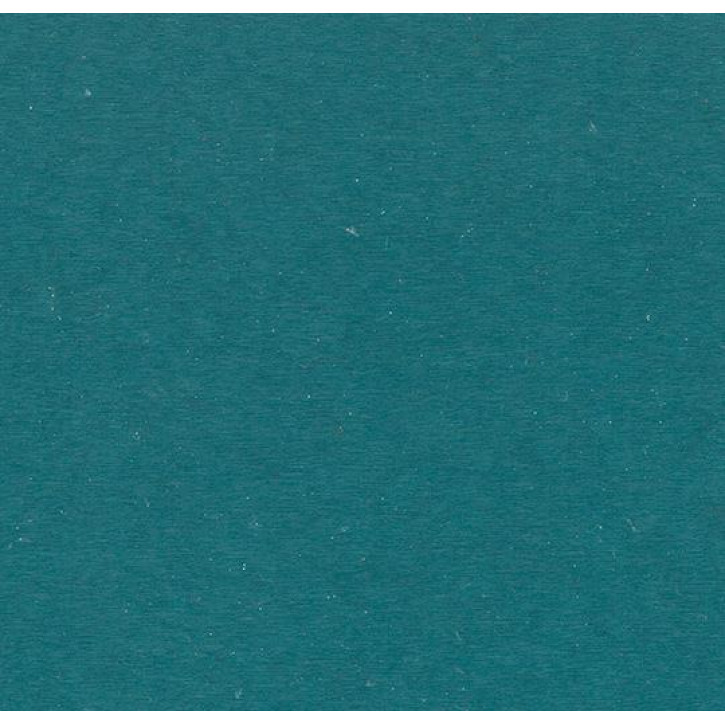 Panele winylowe C68040 Forbo Allura Colour