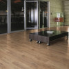 Panele laminowane 3668 Kronotex Amazone