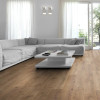 Panele laminowane 3668 Kronotex Amazone