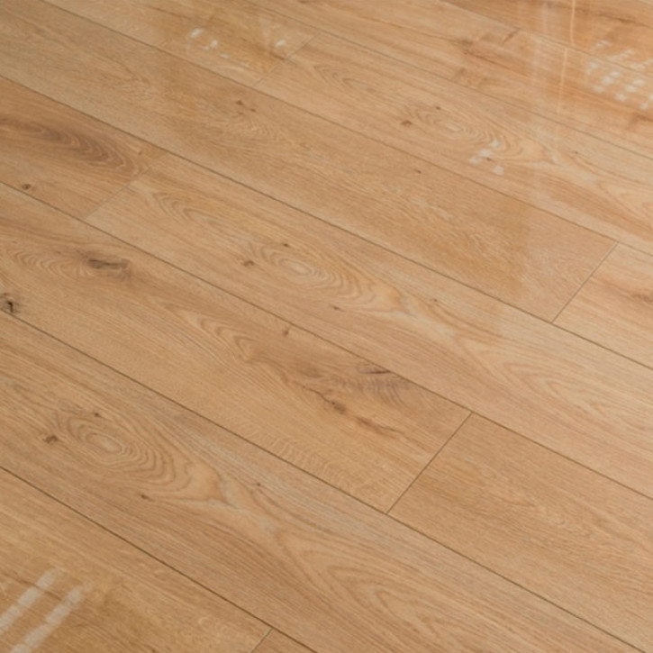 Panele laminowane 6812 Oster Wald Panele laminowane 6812 Oster Wald